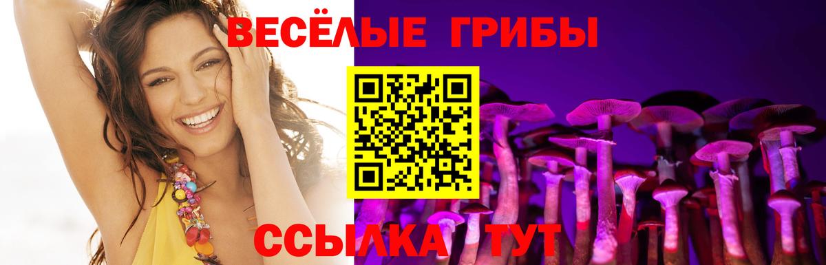 Псилоцибиновые грибы Cubensis  Вход с VPN  купить наркотик  Еманжелинск 